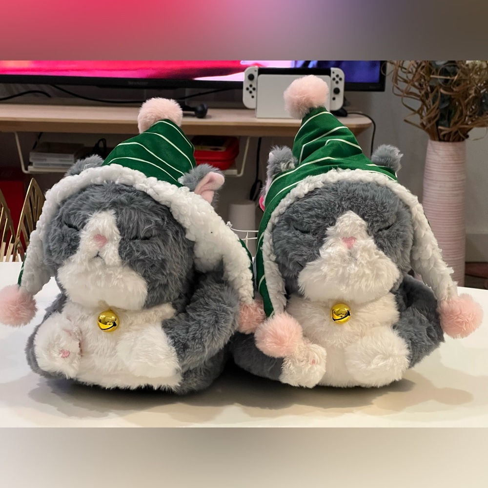 Brand New Aerie Kitty Cat you Slippers size 6